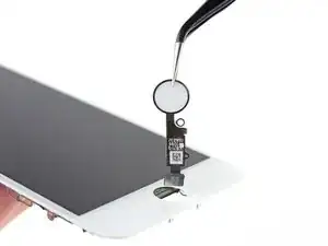Sensor de ID Táctil/ botón Inicio