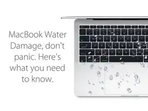 Diagnóstico de daños por agua en un MacBook