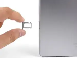 Bandeja de la Tarjeta SIM