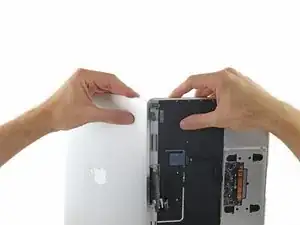 Conjunto de la Pantalla