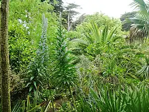 Île de Batz, Jardin Georges Delaselle.