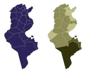 Referéndum constitucional de Túnez de 2022