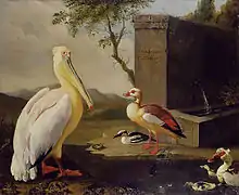 Pelícano y patos en un paisaje de montaña (1683), Museo Ashmolean, Oxford