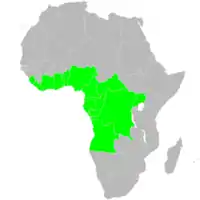 &nbsp;&nbsp;&nbsp;&nbsp;&nbsp;Países con presencia de atangas