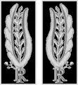 Insignias para uniforme ceremonial