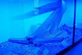 Una de las anclas del pecio de Mahdía, siglo I a. C.