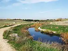 El arroyo Culebro a su paso por Fuenlabrada
