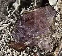 Ferro-axinita sobre albita - Arbizon Pirineos