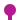 KBHFa fuchsia