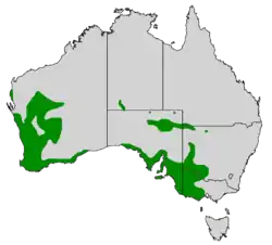 Distribución natural de la cigüeñuela pechirroja