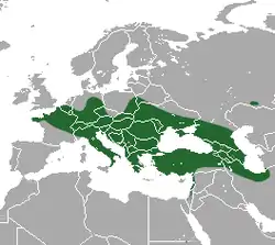 Distribución de C. leucodon (en verde).