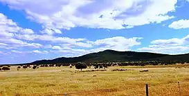 Sierra de San Pedro