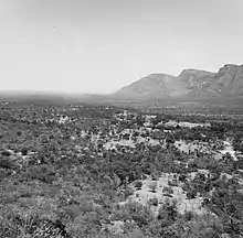 Territorio de transición entre la montaña y la sabana en territorio pokot.