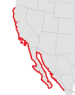 La ocurrencia es escasa en la parte norte de esta distribución.Robert Hugh Morris; Eugene Clinton Haderlie (1980). Intertidal Invertebrates of California. Stanford University Press. p.&nbsp;348. ISBN&nbsp;978-0-8047-1045-9. Consultado el 26 de julio de 2013.&nbsp;