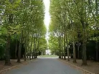 Vista de la avenida central