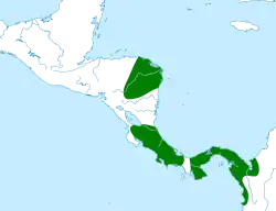 Distribución geográfica del saltarín gorgiblanco occidental.