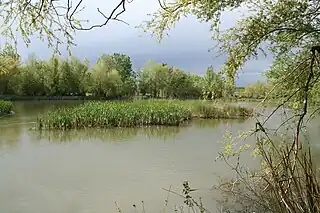 Aiguabarreig Segre-Noguera Ribagorçana