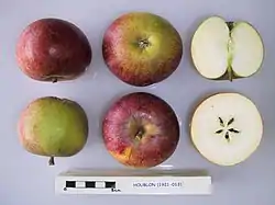 La Manzana 'Houblon' seccionada.