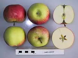 La Manzana 'James Grieve' seccionada.