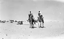 Babuinos en el Sinai, Israel 1969