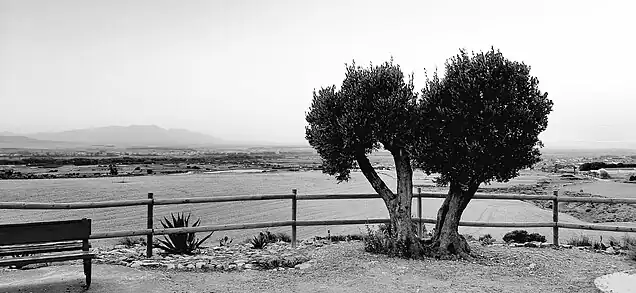 Panorámica desde la ermita de Santa Lucía de Fustiñana con el Moncayo al fondo y vista de la ribera del Ebro