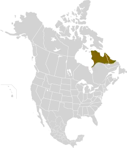 Distribution map of the Ungava Collared Lemming
