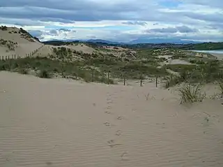 Dunas de Liencres y Estuario del Pas