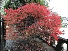 Santuario de Okayama, Parque Ogi