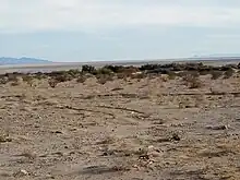 Sierra de Juárez