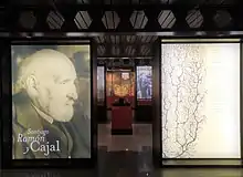 Entrada a la exposición temporal Santiago Ramón y Cajal del MNCN