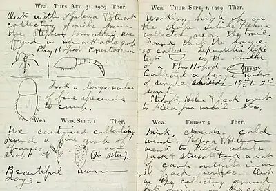 Cuaderno de campo de Charles Walcott, 1909.