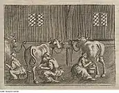 Grabado de la Georgica Curiosa Aucta (1695).