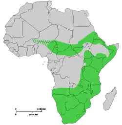 Extensión histórica del rinoceronte negro (c. 1700). Entramado: Posible extensión histórica en África Occidental.
