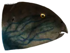 Recreación (Levi & Daniel Izaguirre, 2017