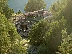 Paridera en proceso de deterioro.