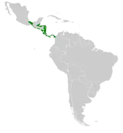 Distribución de Hylocharis eliciae