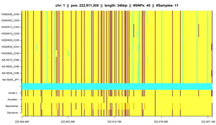 An IBD segment identified by HapFABIA in the 1000 Genomes