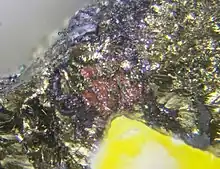 Muestra del mineral obtenida en el mar a gran profundidad