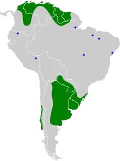 Invernada Todo el año