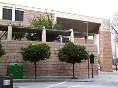 Naranjos amargos en el paseo de la Estación