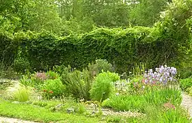 "Jardin des simples et des plantes villageoises"