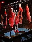 Traje de carne de plástico usado durante The Born This Way Ball