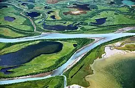 Parte media del delta visto desde Skierfe