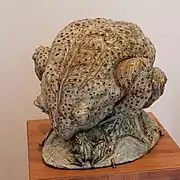 Crapaud et grenouille