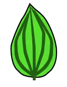 Venación acródroma, en este caso también perfecta y basal.