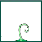 Proceso apical de forma bidimensional cirroso.