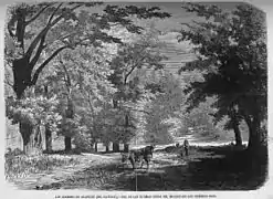 Jardines de Aranjuez, en El Museo Universal (1868)