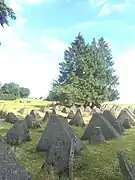 Restos junto al camino del Westwall (línea Sigfrido).