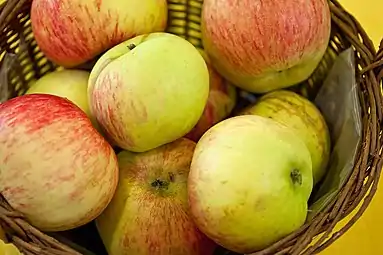 'Dülmener Rosenapfel'.