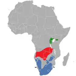 alt= Motacilla capensis subsp. wellsi
Motacilla capensis subsp. simplicissima
Motacilla capensis subsp. capensis